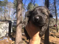 processed/066b76b4-346c-49d5-a280-b8b521482e6c/listing/cfd323a1-d159-45d6-a52e-29ba144ad34b/69e1c870-d0a0-4108-acca-b7e32bcd9d1e