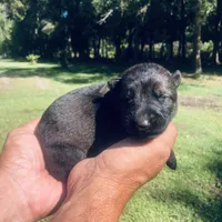 processed/066b76b4-346c-49d5-a280-b8b521482e6c/listing/cfd323a1-d159-45d6-a52e-29ba144ad34b/9165330b-1bd8-4868-ad96-4700b1353978