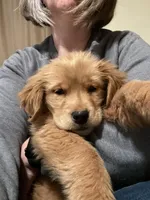 processed/066e76cd-3fda-4ae3-9490-534fb9a7cb55/facility/7cf28fc7-d46d-4a56-85b5-3af7075f257a