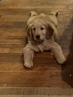 processed/066e76cd-3fda-4ae3-9490-534fb9a7cb55/facility/8af2e5b4-5e2c-4f6a-97e1-4df337f3b3d9