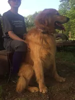 processed/066e76cd-3fda-4ae3-9490-534fb9a7cb55/facility/a3d7f0ca-bbd8-46d4-8076-9bd9048bfd95