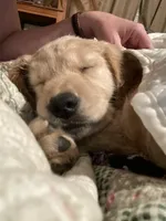 processed/066e76cd-3fda-4ae3-9490-534fb9a7cb55/facility/c81bb338-34c1-4e77-a0c0-fbc142d251f0