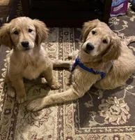 processed/066e76cd-3fda-4ae3-9490-534fb9a7cb55/facility/f382aa3c-8efb-4e94-a3dc-1b11af44a08d