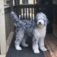 processed/068509f0-3c25-487e-8af5-7838a369c530/facility/3a07c738-f3d4-4e73-8a29-b7c186d18dd6