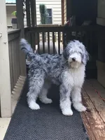 processed/068509f0-3c25-487e-8af5-7838a369c530/facility/3a07c738-f3d4-4e73-8a29-b7c186d18dd6