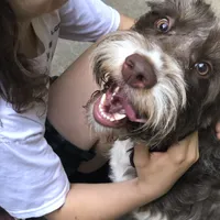 processed/068509f0-3c25-487e-8af5-7838a369c530/facility/3f9807a6-9333-45b1-901f-a9a6a95f1200