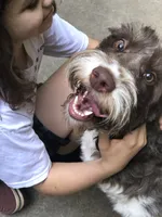 processed/068509f0-3c25-487e-8af5-7838a369c530/facility/3f9807a6-9333-45b1-901f-a9a6a95f1200