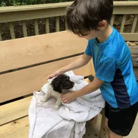 processed/068509f0-3c25-487e-8af5-7838a369c530/facility/40ec64b8-cdd3-49f8-a2f9-a02af3c99657