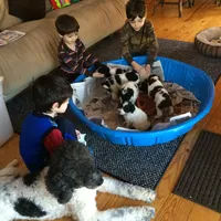 processed/068509f0-3c25-487e-8af5-7838a369c530/facility/8f1391b1-1f94-407c-8216-fb801e715cc1