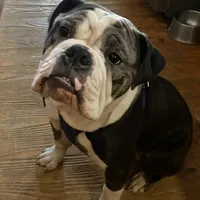 processed/068509f0-3c25-487e-8af5-7838a369c530/facility/90890f56-0ecd-49af-96ef-72b1e576b38a