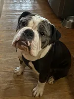 processed/068509f0-3c25-487e-8af5-7838a369c530/facility/90890f56-0ecd-49af-96ef-72b1e576b38a