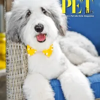 processed/068509f0-3c25-487e-8af5-7838a369c530/facility/9920d5c9-d586-4da8-bfc2-2d9598a95909