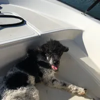 processed/068509f0-3c25-487e-8af5-7838a369c530/facility/b53c520c-0d97-4fa9-9eae-78d41f07ef0f