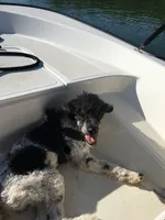 processed/068509f0-3c25-487e-8af5-7838a369c530/facility/b53c520c-0d97-4fa9-9eae-78d41f07ef0f