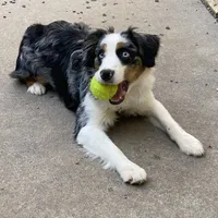 processed/068509f0-3c25-487e-8af5-7838a369c530/facility/e89f6585-4190-42ac-859e-3a61824c651a