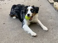 processed/068509f0-3c25-487e-8af5-7838a369c530/facility/e89f6585-4190-42ac-859e-3a61824c651a