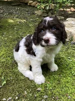 processed/068509f0-3c25-487e-8af5-7838a369c530/listing/478b09bf-d38e-4ec9-b565-a62b00b607ef/791a7c1a-cf26-4506-8873-22973066e65a