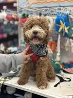 processed/069122fa-ddb9-4fb8-a3c1-57fbbb76fbd6/facility/6b9662c9-f659-4fea-bded-332c89c3e54a