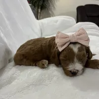 processed/069122fa-ddb9-4fb8-a3c1-57fbbb76fbd6/listing/79b6e827-6880-4afe-a792-8355683db70a/e4230dbe-a51a-4e4d-a152-db16155ef01d