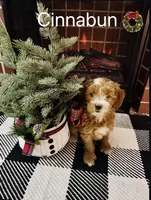 processed/069122fa-ddb9-4fb8-a3c1-57fbbb76fbd6/listing/79b6e827-6880-4afe-a792-8355683db70a/ffbaa871-f0ea-433c-8230-cb2792daa9e1