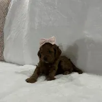 processed/069122fa-ddb9-4fb8-a3c1-57fbbb76fbd6/listing/e029a4a7-f331-44e4-824d-8a00ace1ff92/51c94f0e-4c61-4423-9e4d-da4c49a5c5f1