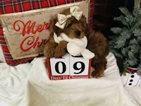 processed/069122fa-ddb9-4fb8-a3c1-57fbbb76fbd6/listing/e029a4a7-f331-44e4-824d-8a00ace1ff92/7e1f9d0b-0d8d-48d6-b289-efe934765452