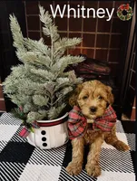 processed/069122fa-ddb9-4fb8-a3c1-57fbbb76fbd6/listing/e029a4a7-f331-44e4-824d-8a00ace1ff92/905b6bb8-93e9-4850-a1ff-87b6cf3f696f