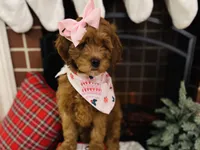 processed/069122fa-ddb9-4fb8-a3c1-57fbbb76fbd6/listing/e029a4a7-f331-44e4-824d-8a00ace1ff92/b1306ce2-cc60-493f-b329-4f5b9127d52a