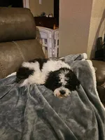 processed/0695c00a-ab8a-4374-8f99-68fbba8cf931/listing/02beef84-49d7-42c8-976f-6b3db84a8f6e/1ff207b7-8e59-41b7-926f-63dae4010428