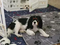 processed/0695c00a-ab8a-4374-8f99-68fbba8cf931/listing/02beef84-49d7-42c8-976f-6b3db84a8f6e/613ab5ba-e6fe-4c70-9eca-efc9b07ed7a8