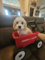 processed/0695c00a-ab8a-4374-8f99-68fbba8cf931/listing/0b564dc4-9d77-4c73-806a-40f28dc4aae0/8ce497c8-38ed-469c-ba1e-0975526f94c1