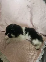 processed/0695c00a-ab8a-4374-8f99-68fbba8cf931/listing/1f4e8204-160c-4aa9-9f42-0e4563076620/0d2810af-df43-4d80-980e-09d16cb68285