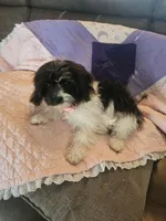 processed/0695c00a-ab8a-4374-8f99-68fbba8cf931/listing/1f4e8204-160c-4aa9-9f42-0e4563076620/298b076e-66c1-4274-a4be-549727ac4481