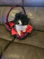 processed/0695c00a-ab8a-4374-8f99-68fbba8cf931/listing/1f4e8204-160c-4aa9-9f42-0e4563076620/3d2f25a3-a952-4365-b0cf-26a3c466b796