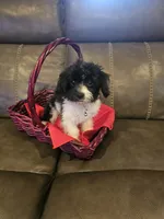 processed/0695c00a-ab8a-4374-8f99-68fbba8cf931/listing/1f4e8204-160c-4aa9-9f42-0e4563076620/89cbd6a2-6961-4b0d-a66b-1dd0bbef7797