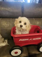 processed/0695c00a-ab8a-4374-8f99-68fbba8cf931/listing/2afe3863-d7ee-453b-95e7-aee44ced99c5/3d55cec7-f124-4e53-b183-2f3afb137cdd