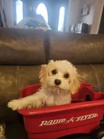 processed/0695c00a-ab8a-4374-8f99-68fbba8cf931/listing/2afe3863-d7ee-453b-95e7-aee44ced99c5/5980b436-a1ae-41c4-bce8-323c298f7907