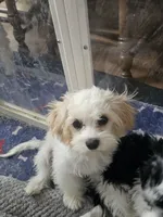 processed/0695c00a-ab8a-4374-8f99-68fbba8cf931/listing/2afe3863-d7ee-453b-95e7-aee44ced99c5/65a288fd-6dae-4b23-9039-a6a6c2d2e29e