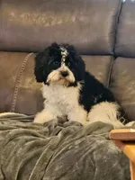 processed/0695c00a-ab8a-4374-8f99-68fbba8cf931/listing/31712733-48dc-4a15-a809-8a7826171ee0/86246b41-a6db-472a-8a98-e889ad99190a