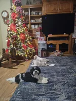 processed/0695c00a-ab8a-4374-8f99-68fbba8cf931/listing/31712733-48dc-4a15-a809-8a7826171ee0/90c20460-d586-4ab2-86f4-0f90a757ead4