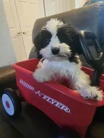 processed/0695c00a-ab8a-4374-8f99-68fbba8cf931/listing/47354ee1-5de9-415a-9644-fd09c7c13942/452a5fb2-12bc-4fad-8501-8a2b7a1b4a6b