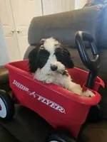 processed/0695c00a-ab8a-4374-8f99-68fbba8cf931/listing/47354ee1-5de9-415a-9644-fd09c7c13942/52a1426b-38b3-4951-9396-ac681ff6b63e