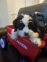 processed/0695c00a-ab8a-4374-8f99-68fbba8cf931/listing/47354ee1-5de9-415a-9644-fd09c7c13942/c140c838-5fc8-4661-b5e7-5824a76b6905