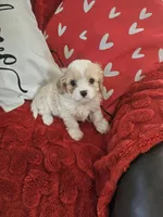 processed/0695c00a-ab8a-4374-8f99-68fbba8cf931/listing/67658b8d-5719-4d1f-b67b-0812408e69ce/8c2dcd39-0d68-4351-af71-67d1254eeddb