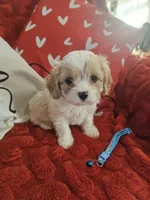 processed/0695c00a-ab8a-4374-8f99-68fbba8cf931/listing/67658b8d-5719-4d1f-b67b-0812408e69ce/b2b95e9c-9559-4442-b1e5-21eb1017e137