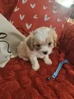 processed/0695c00a-ab8a-4374-8f99-68fbba8cf931/listing/67658b8d-5719-4d1f-b67b-0812408e69ce/ba838e79-e220-478b-800b-91b391c4f732