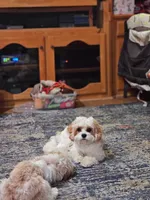 processed/0695c00a-ab8a-4374-8f99-68fbba8cf931/listing/816a4885-5efe-4c20-8a75-febd0eaa50f0/3f4c221b-6676-49ec-b0b6-857e52db4cda