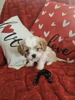 processed/0695c00a-ab8a-4374-8f99-68fbba8cf931/listing/8c848761-cde6-48b7-8047-3a23bdb83b1c/8b829975-80eb-42fa-852e-a23f7d7d60b8