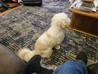 processed/0695c00a-ab8a-4374-8f99-68fbba8cf931/listing/c72958b5-5dc7-4ab0-ba8f-4adcf99052ac/51a7d8d1-e390-4e4b-a59e-38d01cf49e51