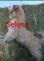 processed/069a4532-dc77-4236-96f2-9569a8e12d02/listing/04ef35d7-09b3-4882-a909-a06791d3a857/8cb64bf8-2c03-4e6a-b6dd-614ed81b41f6